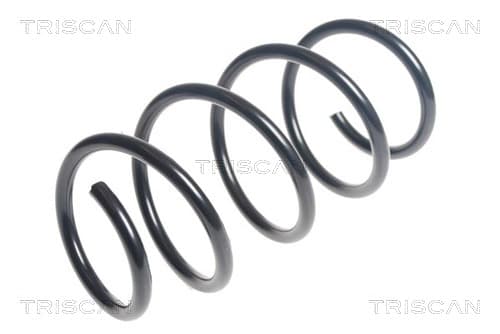 Spiralfjäder fram från TRISCAN