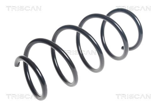 Spiralfjäder fram från TRISCAN