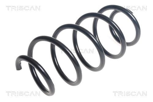 Spiralfjäder fram från TRISCAN