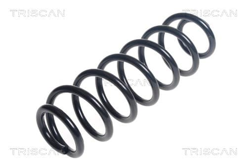Spiralfjäder bak från TRISCAN