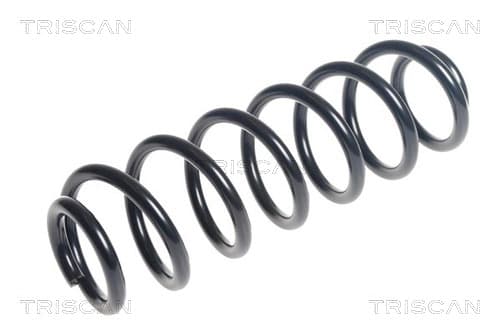 Spiralfjäder bak från TRISCAN