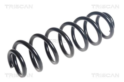 Spiralfjäder bak från TRISCAN