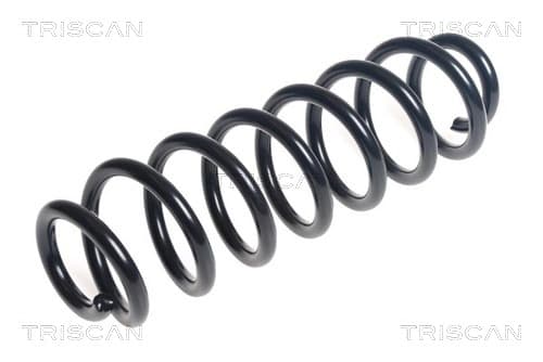 Spiralfjäder bak från TRISCAN