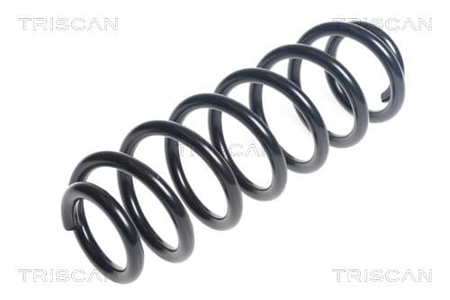 Spiralfjäder bak från TRISCAN