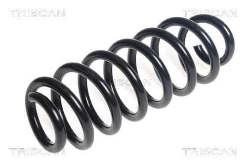 Spiralfjäder bak från TRISCAN