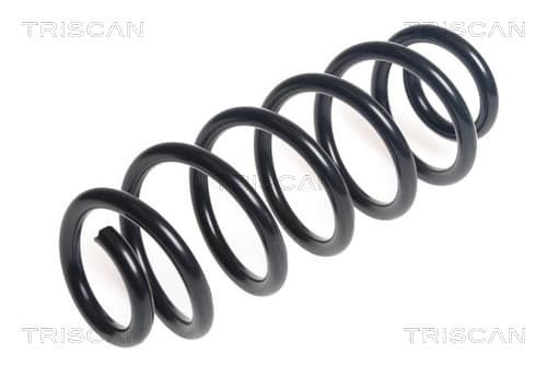 Spiralfjäder bak från TRISCAN