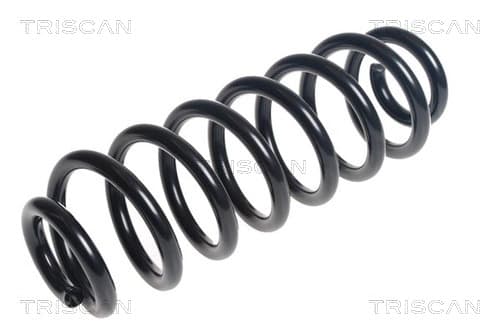 Spiralfjäder bak från TRISCAN