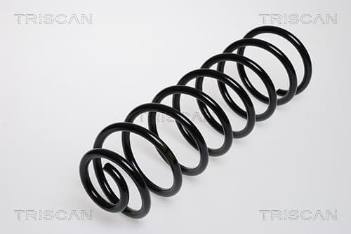 Spiralfjäder bak från TRISCAN