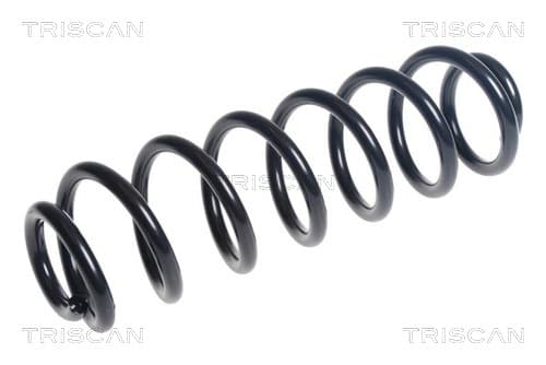 Spiralfjäder bak från TRISCAN