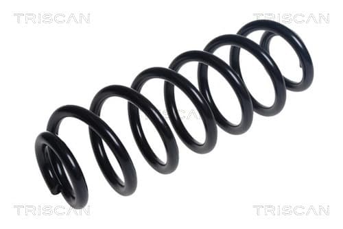 Spiralfjäder bak från TRISCAN