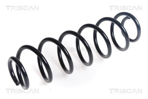 Spiralfjäder bak från TRISCAN