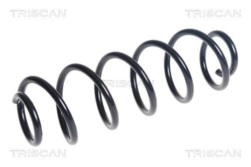 Spiralfjäder bak från TRISCAN
