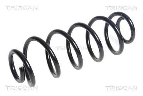 Spiralfjäder bak från TRISCAN