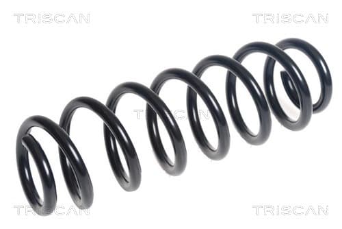 Spiralfjäder bak från TRISCAN