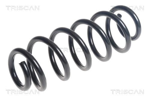 Spiralfjäder bak från TRISCAN
