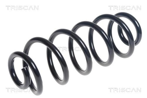 Spiralfjäder fram från TRISCAN