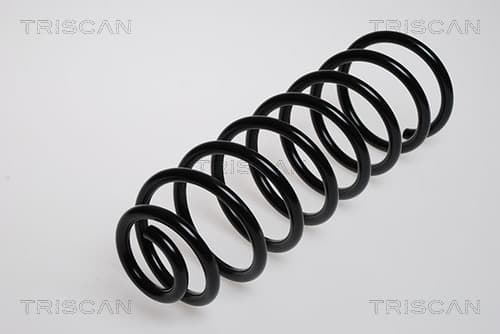 Spiralfjäder bak från TRISCAN