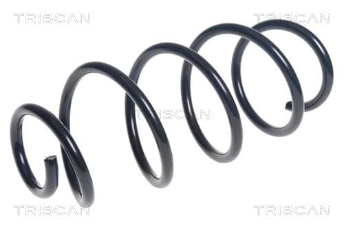 Spiralfjäder bak från TRISCAN