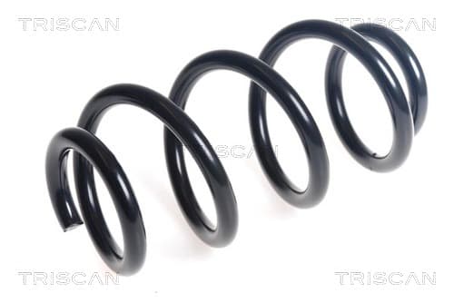Spiralfjäder fram från TRISCAN