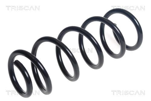 Spiralfjäder fram från TRISCAN