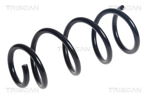 Spiralfjäder fram från TRISCAN