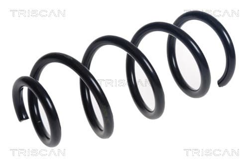 Spiralfjäder fram från TRISCAN