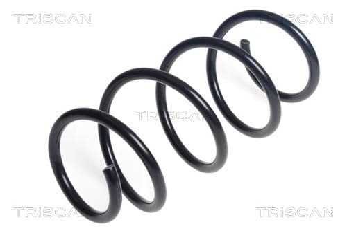 Spiralfjäder fram från TRISCAN