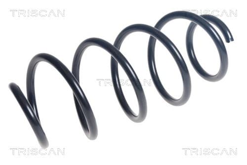 Spiralfjäder fram från TRISCAN