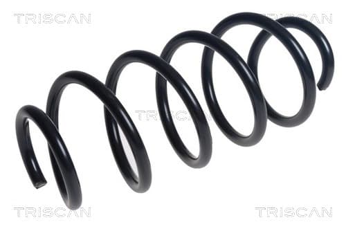 Spiralfjäder fram från TRISCAN