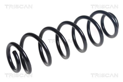 Spiralfjäder bak från TRISCAN