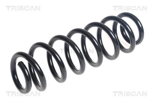 Spiralfjäder bak från TRISCAN