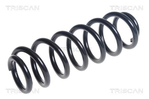 Spiralfjäder bak från TRISCAN