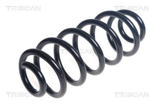Spiralfjäder bak från TRISCAN