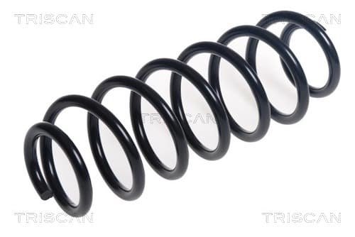 Spiralfjäder bak från TRISCAN