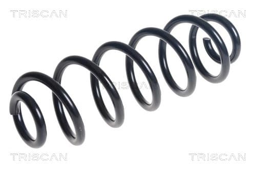 Spiralfjäder bak från TRISCAN