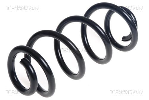 Spiralfjäder bak från TRISCAN