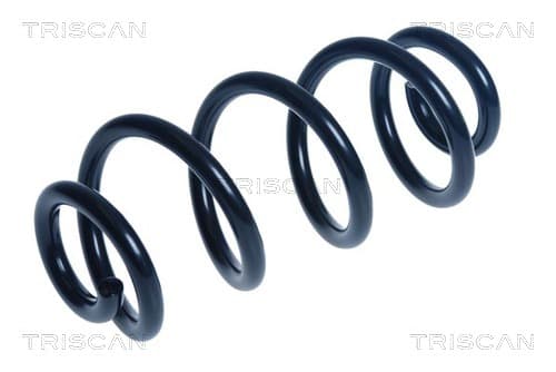 Spiralfjäder bak från TRISCAN