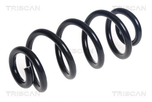 Spiralfjäder bak från TRISCAN