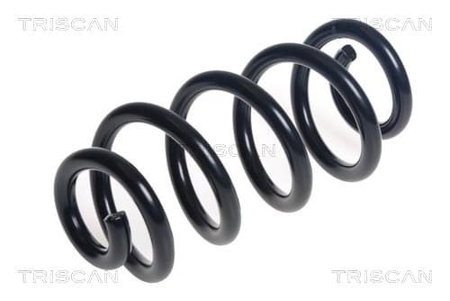 Spiralfjäder bak från TRISCAN