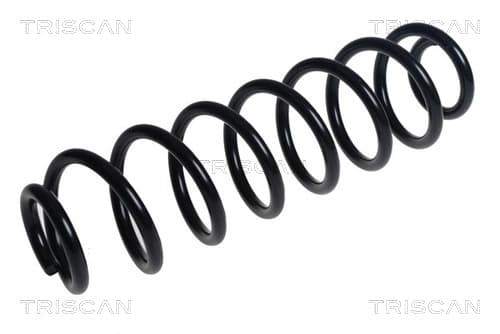 Spiralfjäder bak från TRISCAN