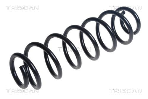 Spiralfjäder bak från TRISCAN
