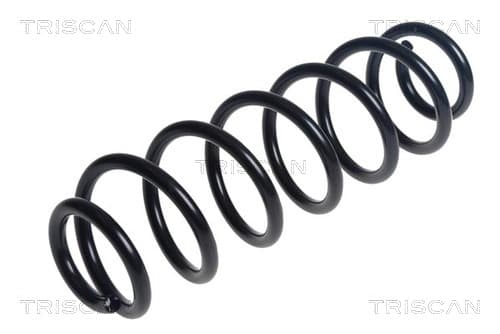 Spiralfjäder bak från TRISCAN