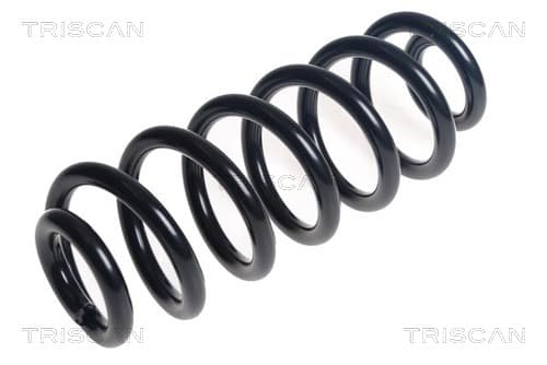 Spiralfjäder bak från TRISCAN