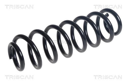 Spiralfjäder bak från TRISCAN