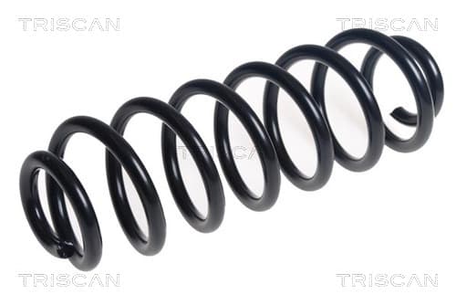 Spiralfjäder bak från TRISCAN