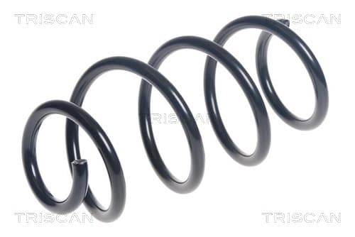 Spiralfjäder fram från TRISCAN