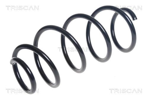 Spiralfjäder fram från TRISCAN