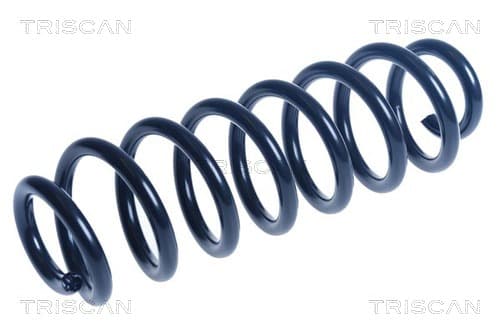 Spiralfjäder bak från TRISCAN