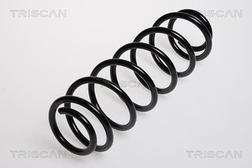 Spiralfjäder bak från TRISCAN