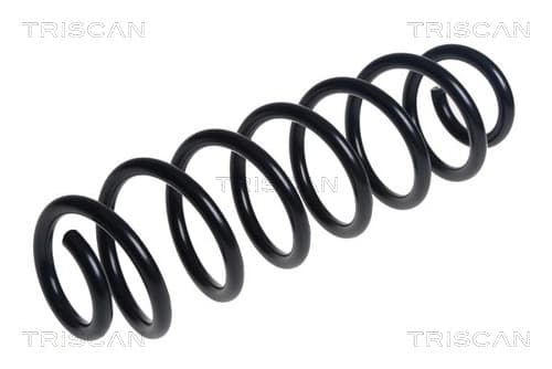 Spiralfjäder bak från TRISCAN